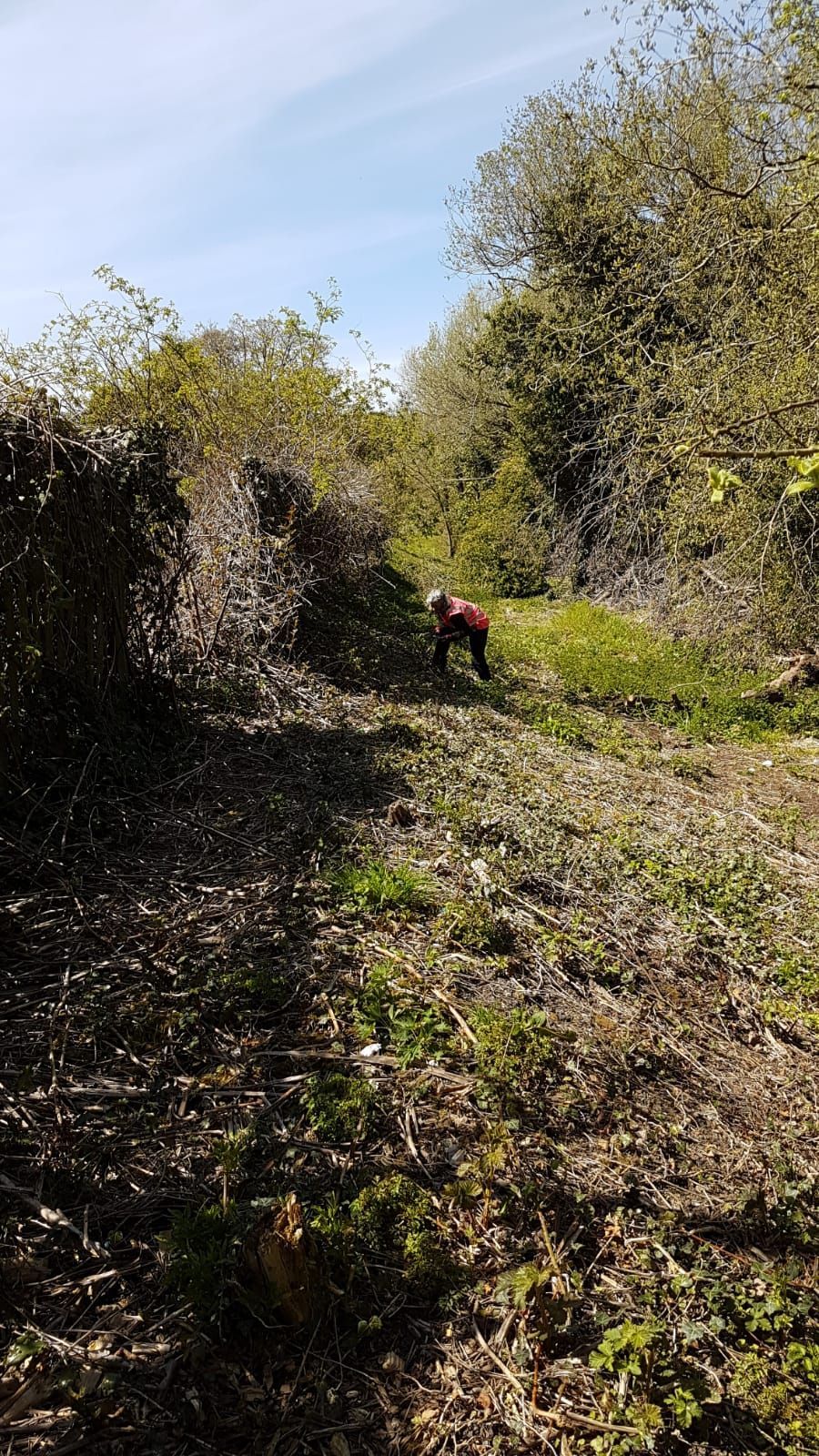 arden to clear or rubbish to get rid of from your property in Birmingham?