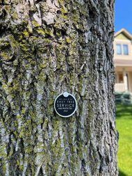 Close-up of a tree trunk with a round, black metal marker attached that says 