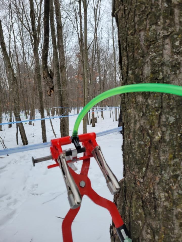 Syrup shack