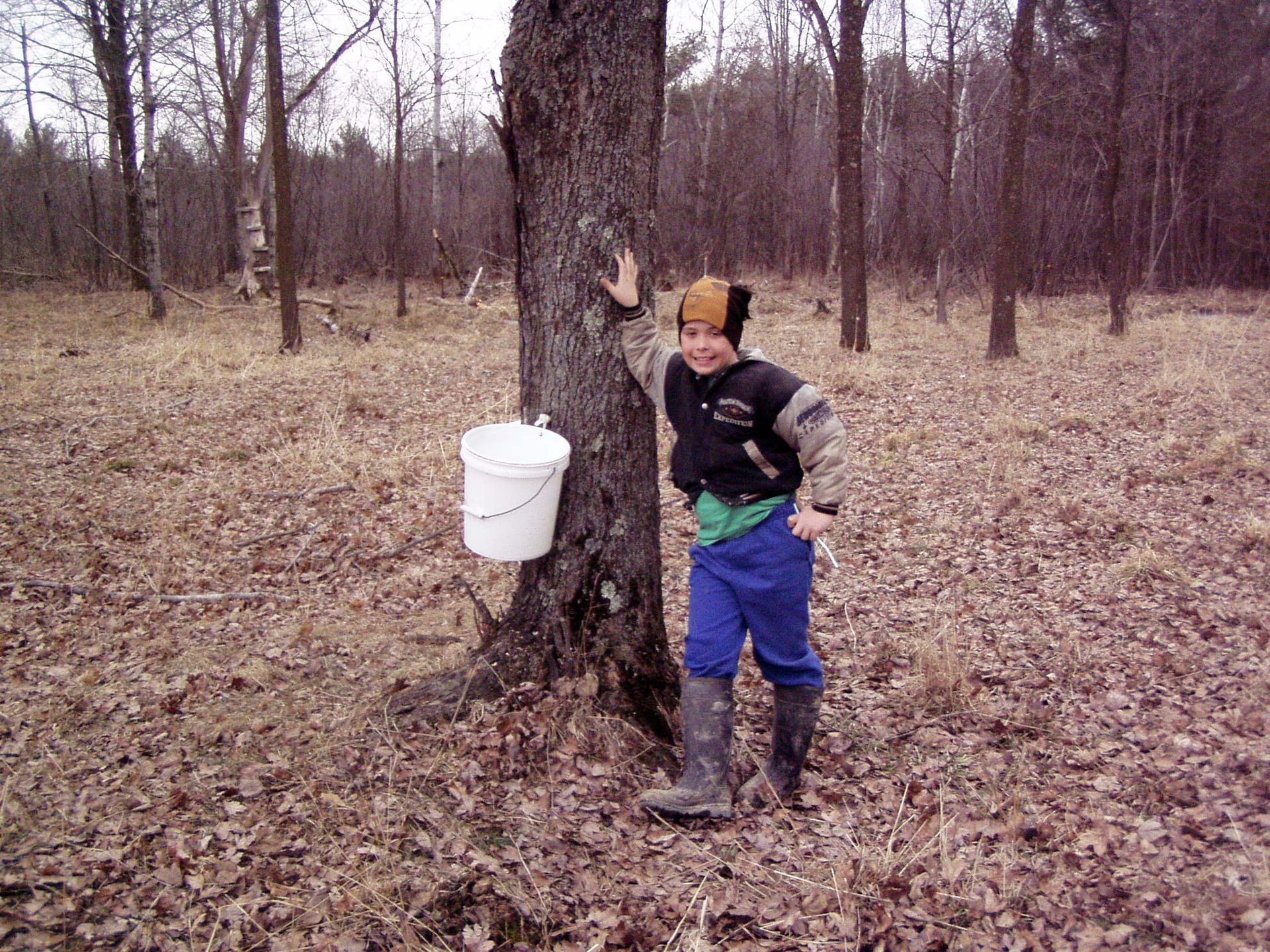 Syrup shack