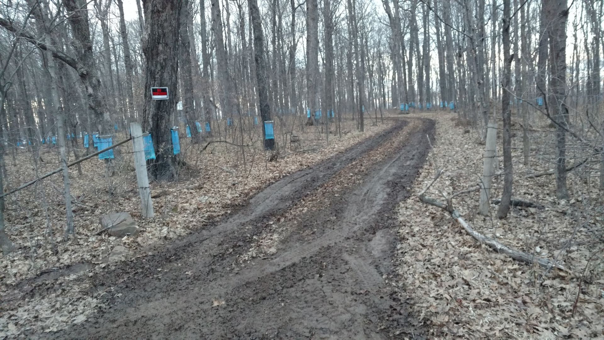 Syrup shack