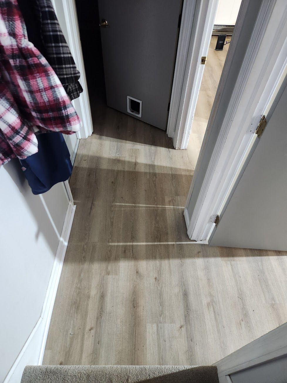 A hallway with light wood-look flooring leads to an open doorway with a gray door featuring a pet door.
