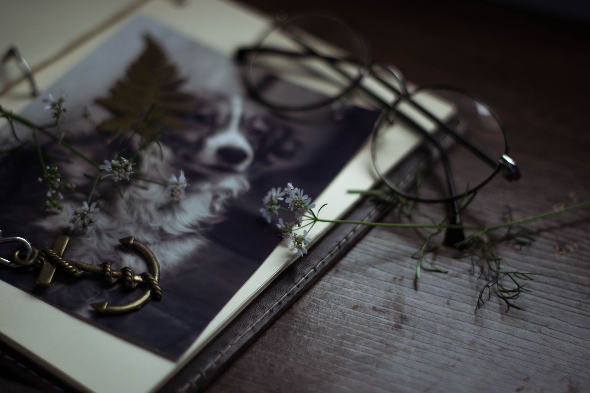 Open book with glasses, sprigs, and dark floral print on a wooden table