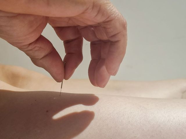 Prodotti di medicina cinese
