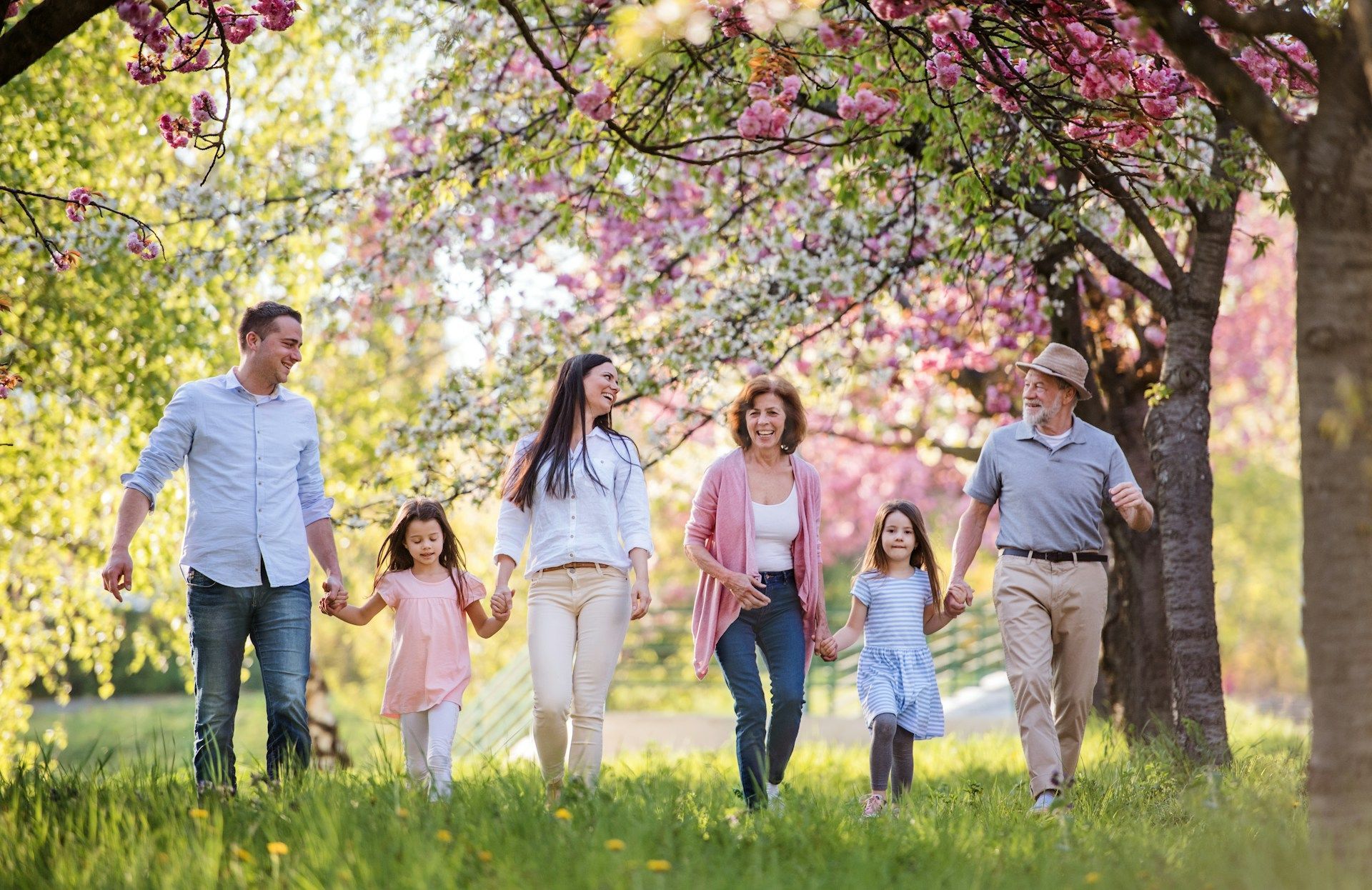 Family walking together in a sunny park under blooming pink trees