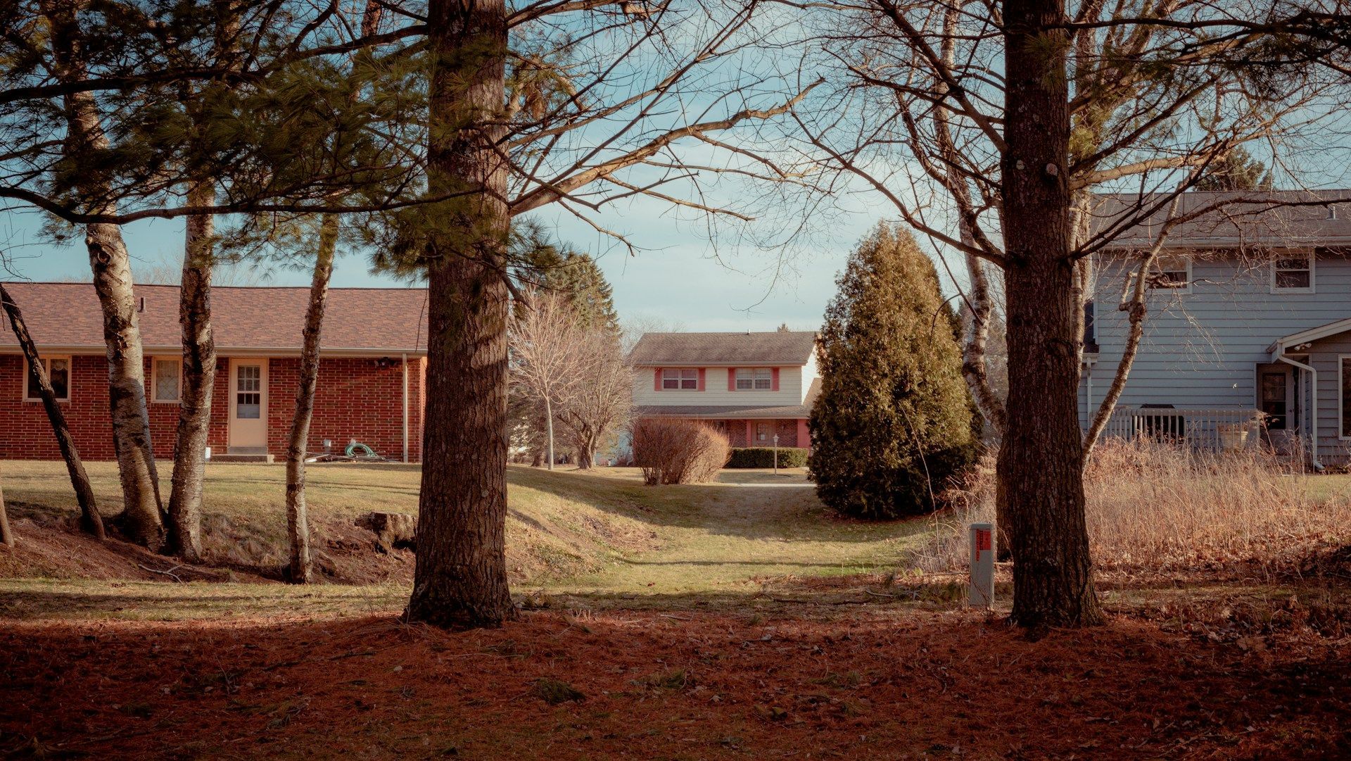 Tree-lined view of suburban houses with red brick and blue siding in a quiet yard in autumn.
