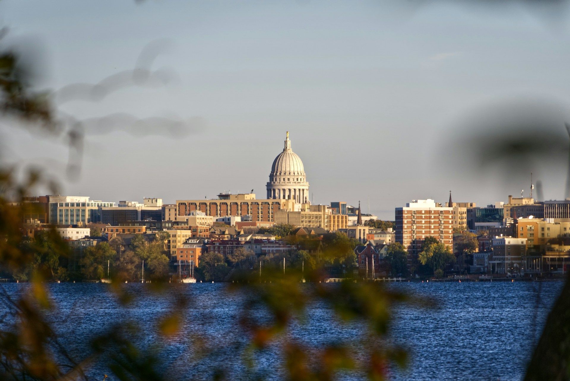 City skyline with a domed capitol building across a blue river, framed by blurred foreground leaves.