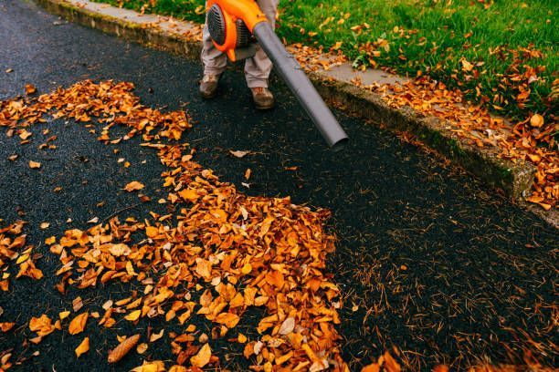 Tidy Lawn — Bensalem, PA — Munz's Lawn Service & Landscaping