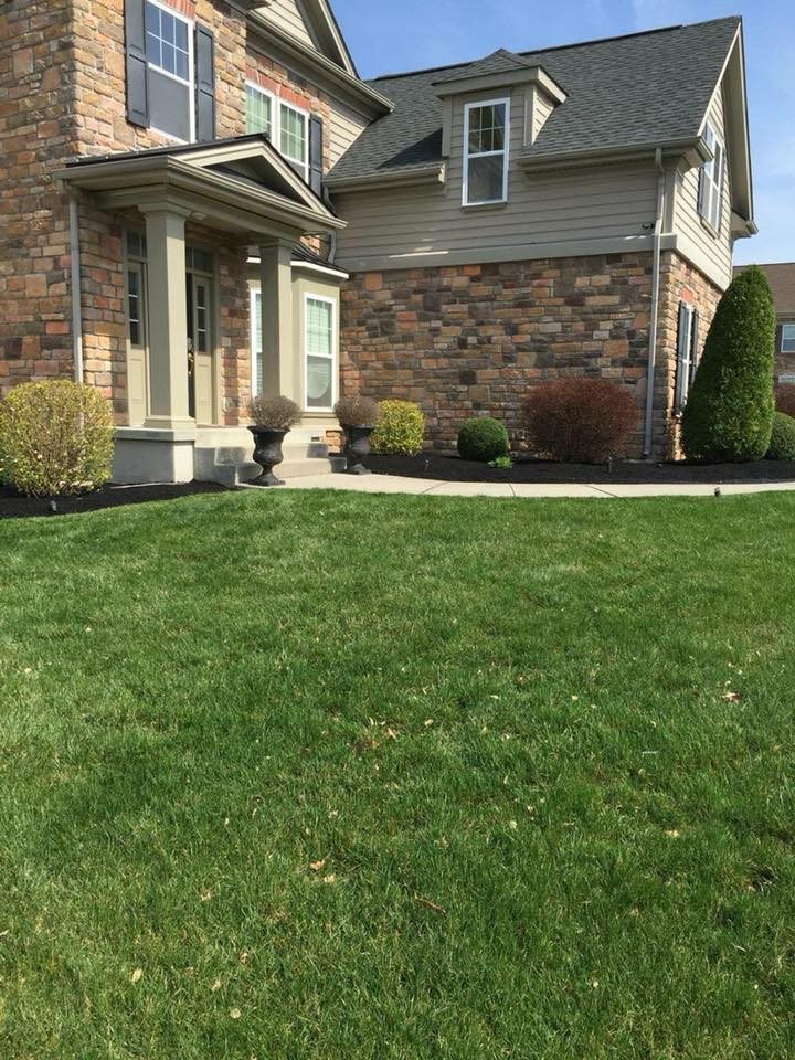 Maintained Lawn — Bensalem, PA — Munz's Lawn Service & Landscaping