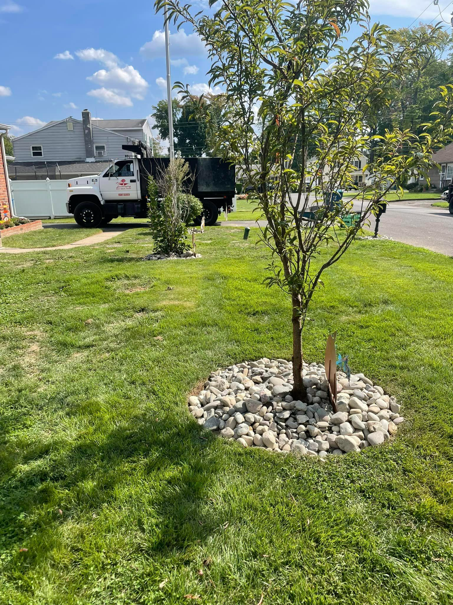 Newly Mowed Lawn — Bensalem, PA — Munz's Lawn Service & Landscaping