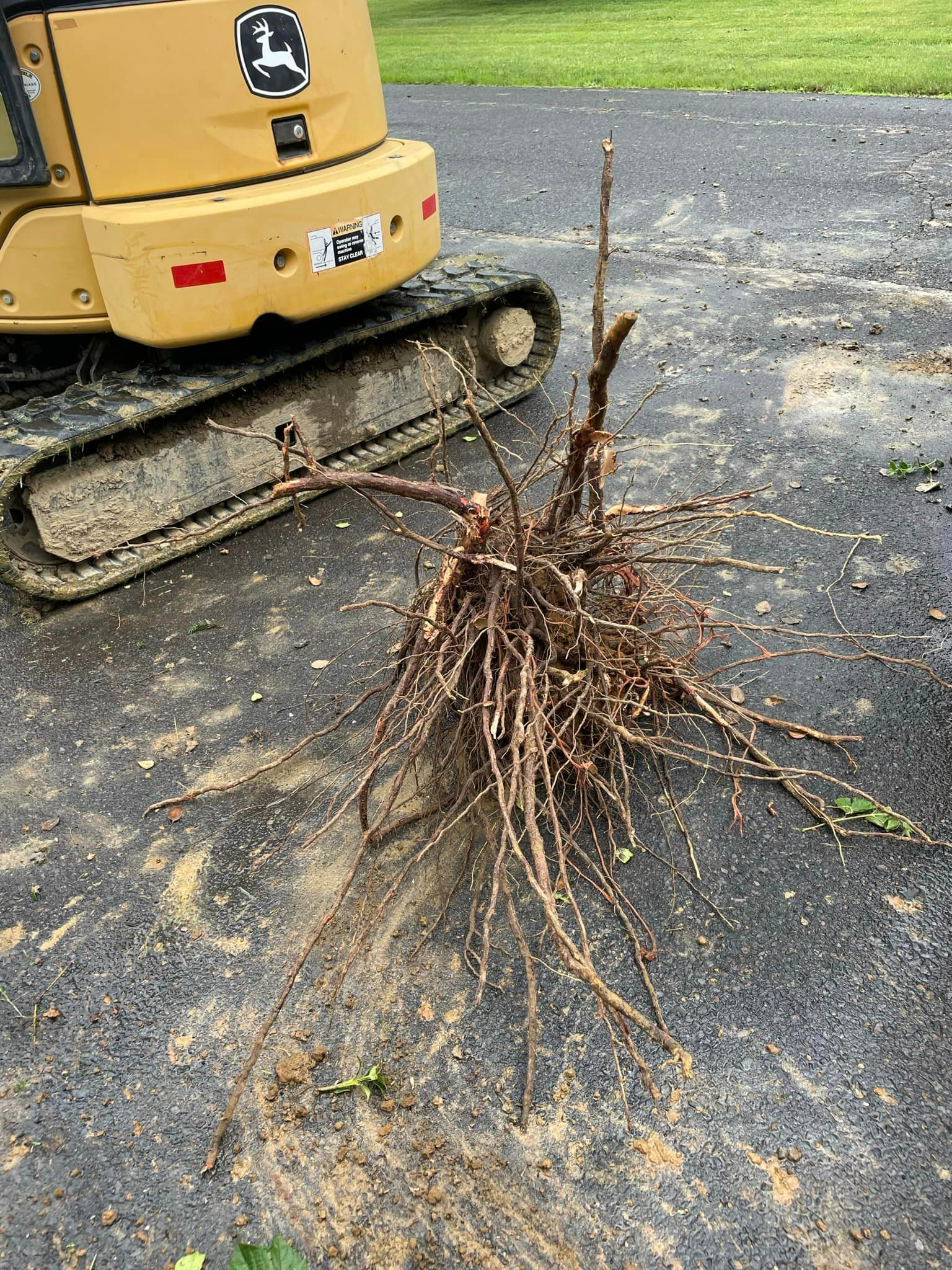 Branches On Pavement — Bensalem, PA — Munz's Lawn Service & Landscaping