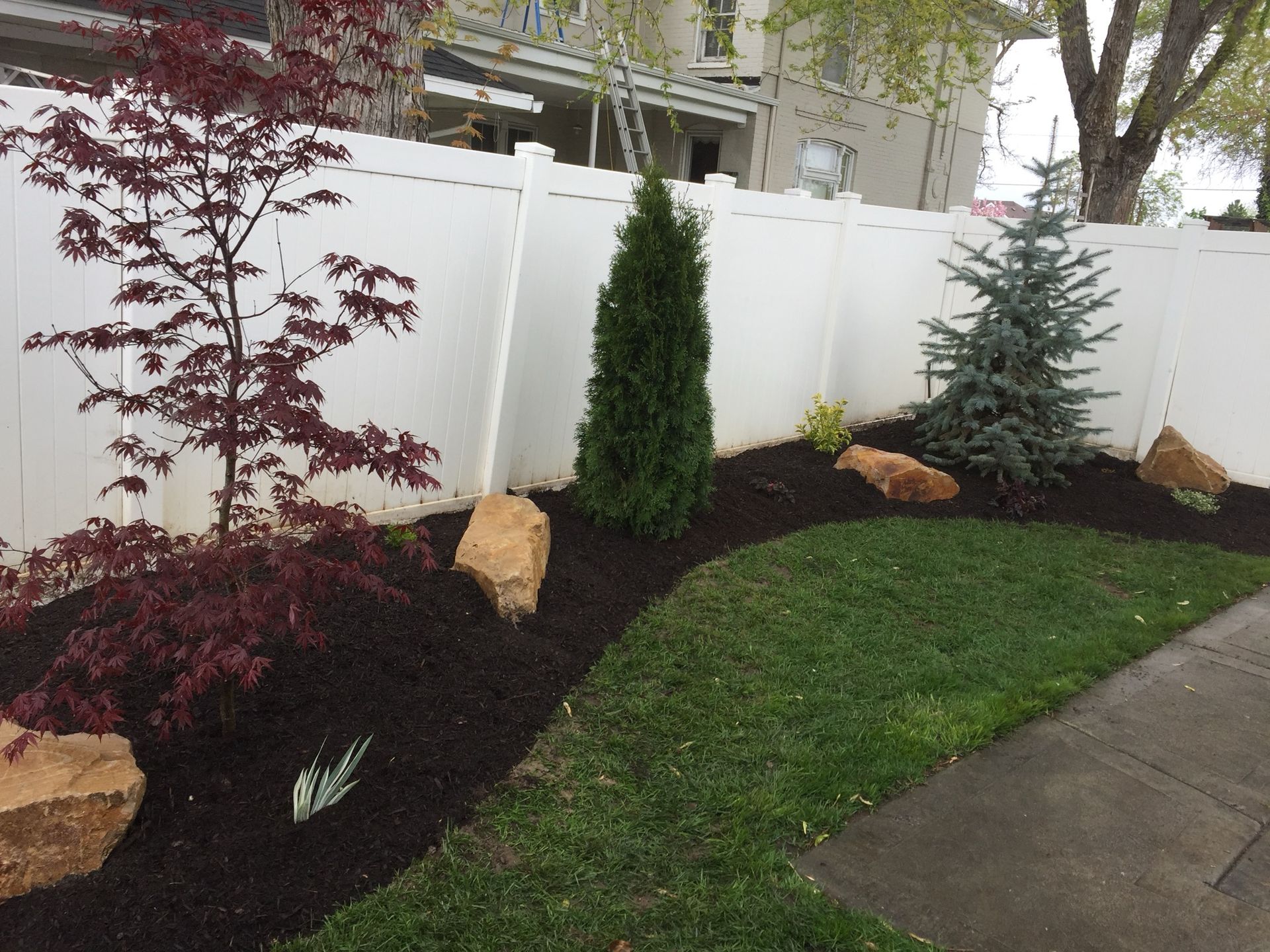 Landscaped yard with burgundy and green shrubs, rocks, and a white privacy fence beside a sidewalk.
