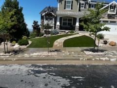 Suburban house with landscaped front yard, curved walkway, and driveway beside a street