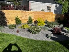 Landscaped backyard with gravel beds, shrubs, and a wooden privacy fence under a sunny sky