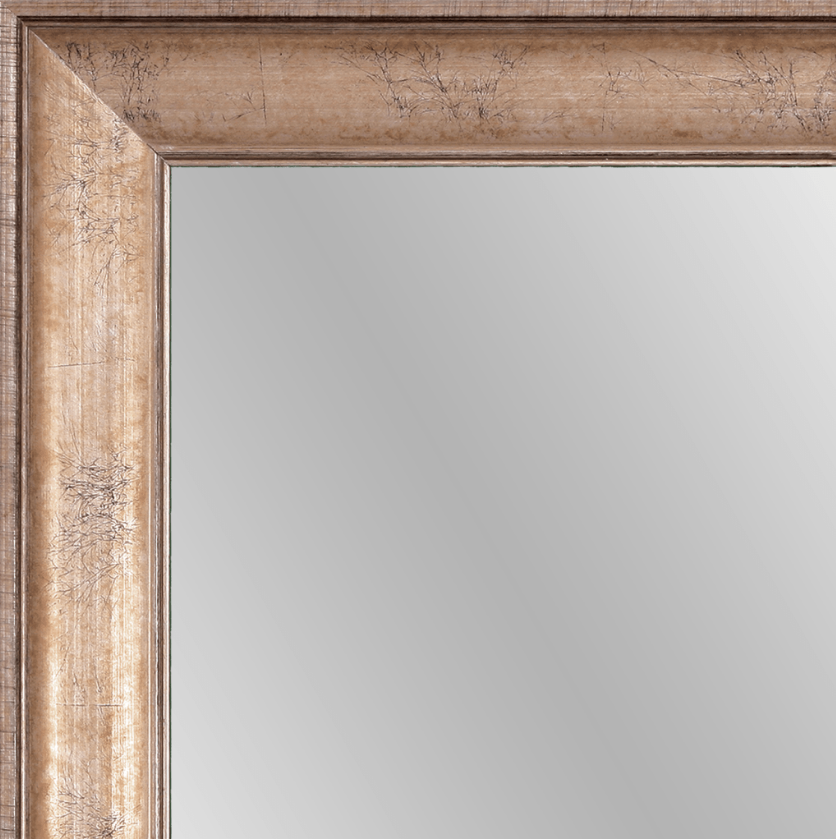 Mirror Renovations 1568 Framed Mirror - Champagne
