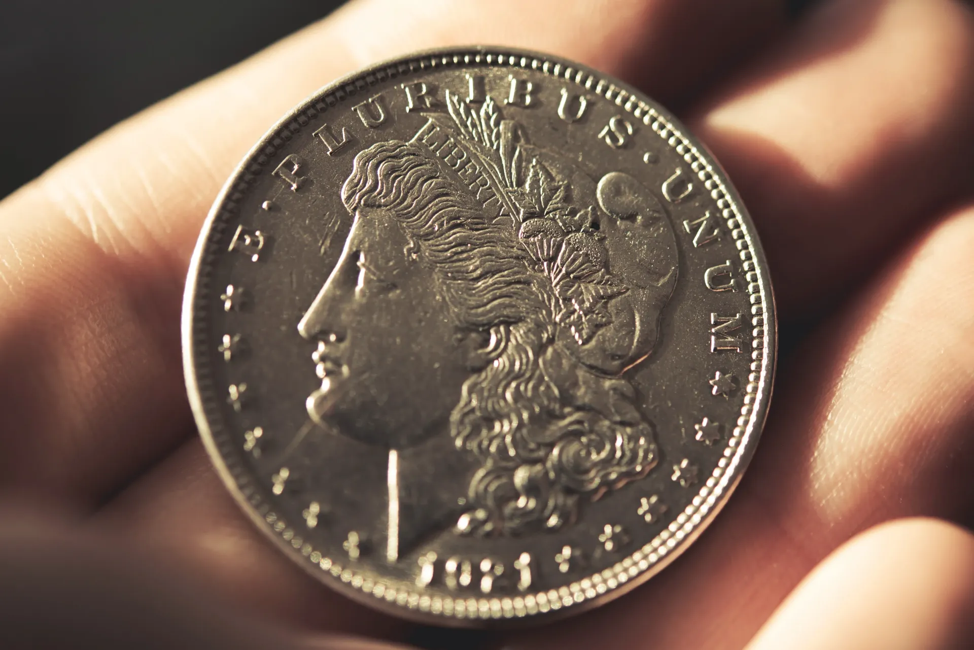 Morgan dollars at Scottsdale Coin Shop Scottsdale AZ