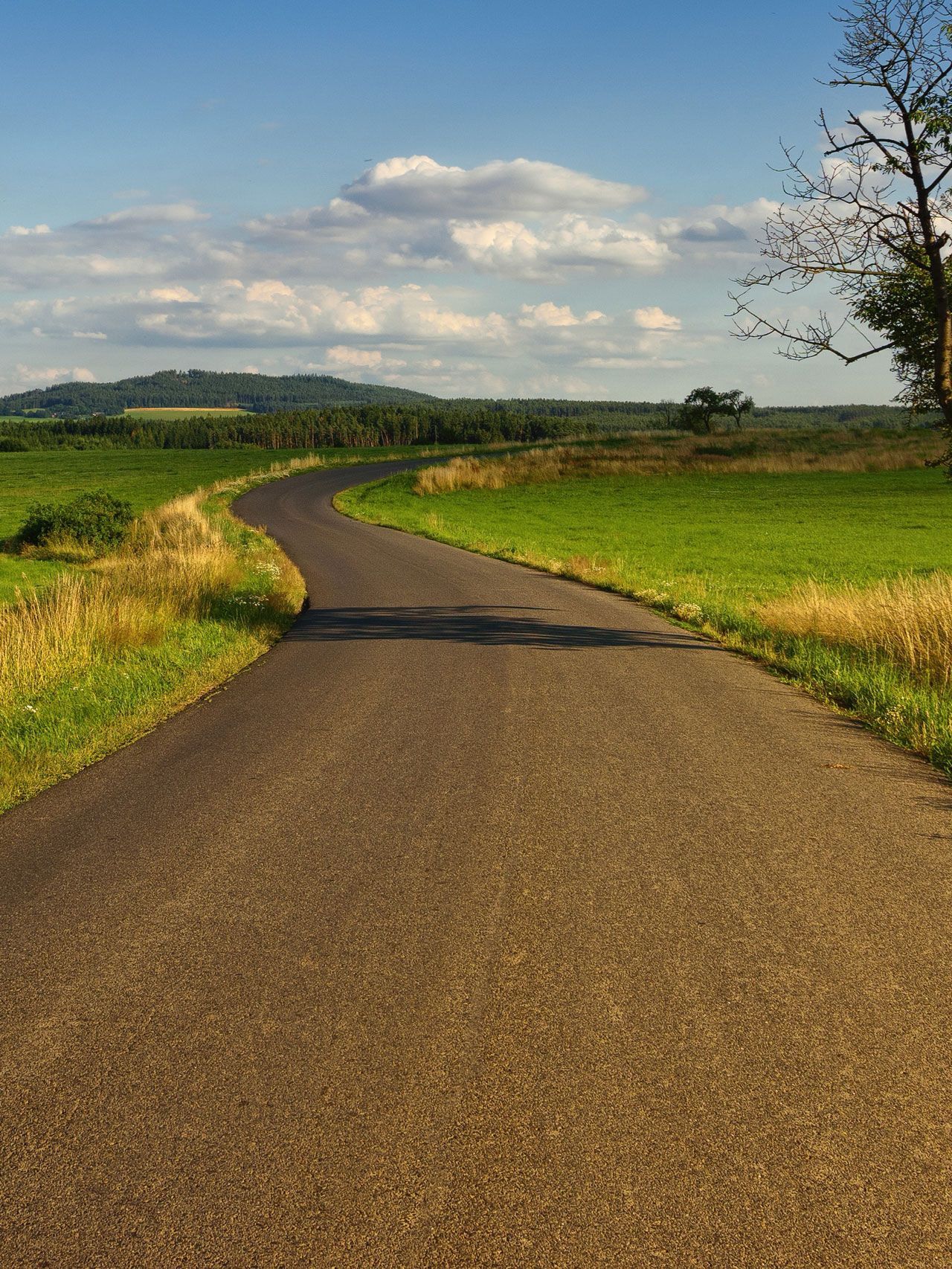 A paved country road curves through a grassy green meadow under a bright, partly cloudy sky.