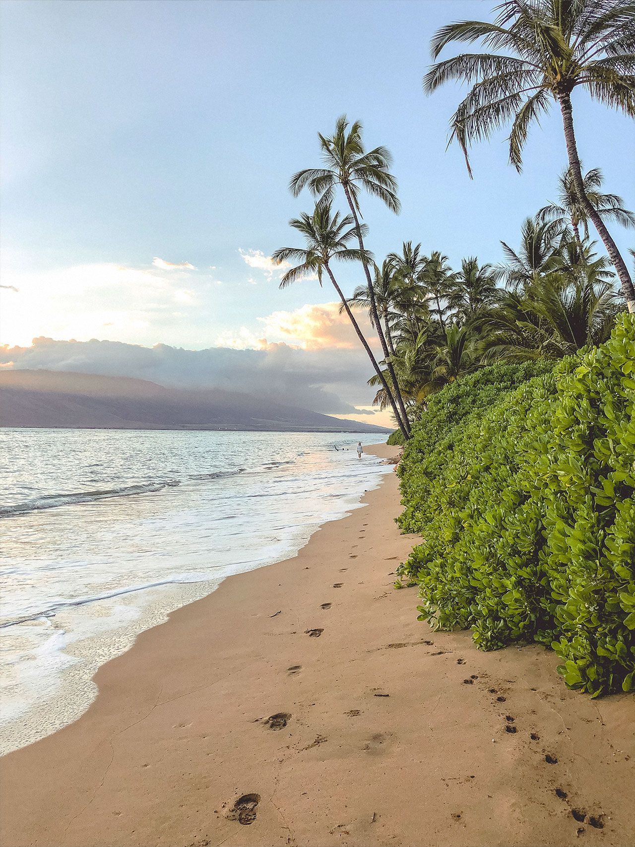 A sandy beach at sunset, with palm trees along the shore, lush green bushes, and gentle waves rolling in.