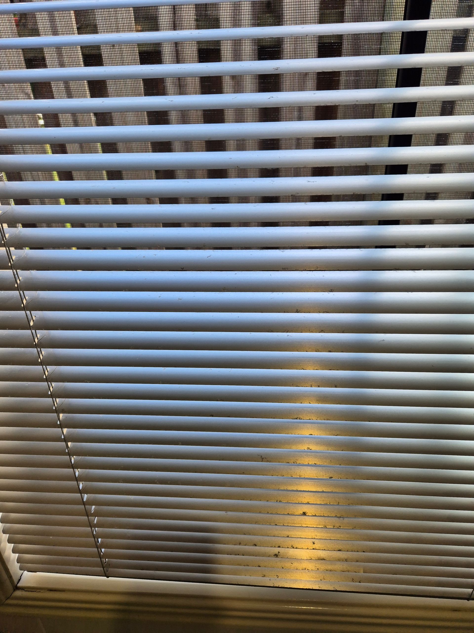 After: Closed Silver Blinds With Sunlight Reflecting Off the Slats — KirraLina Cleaning Services in Gold Coast, QLD