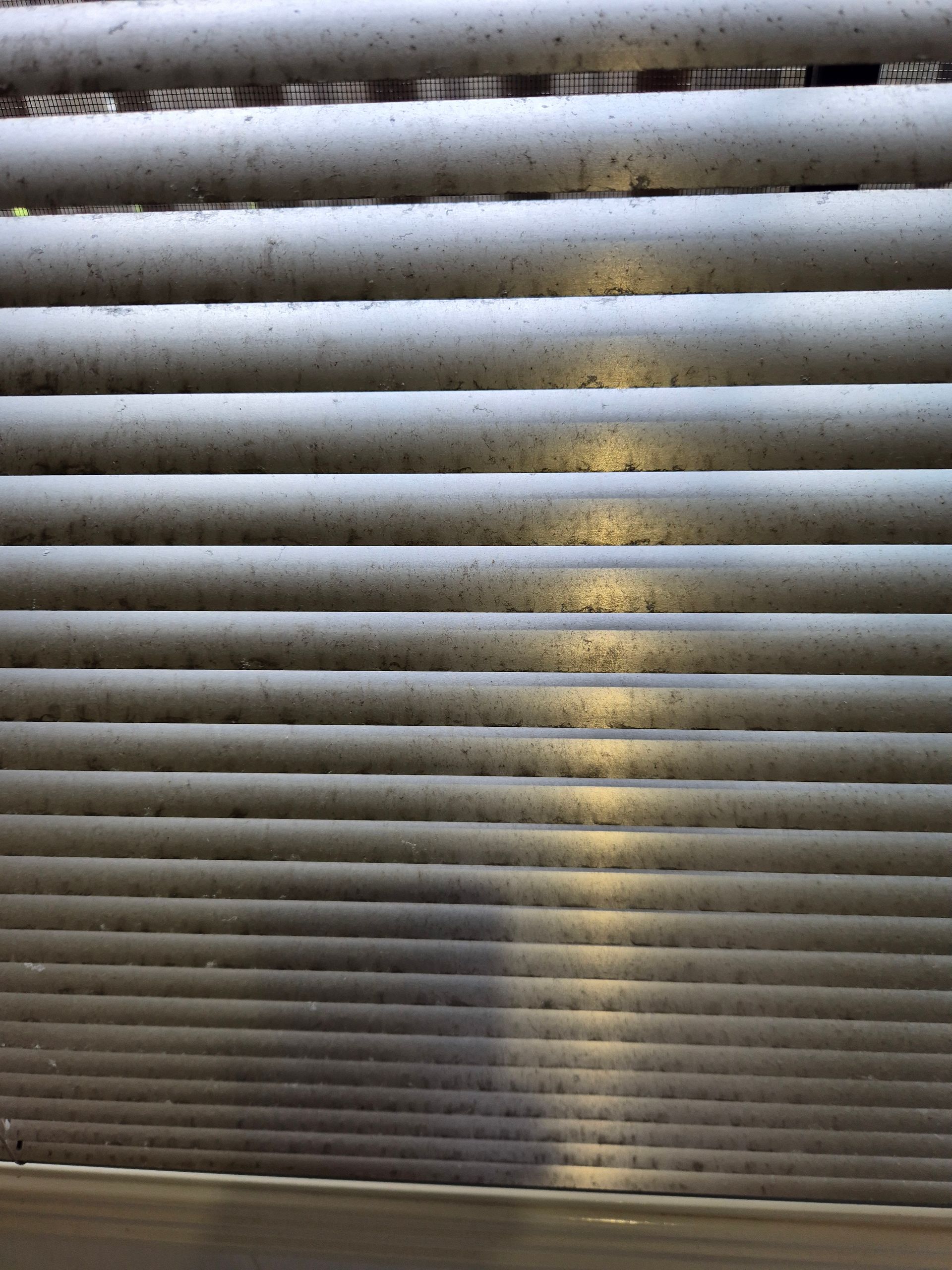 Before: Close-up of Dirty, Horizontal Blinds With Dust and Dirt Accumulating on the Slats — KirraLina Cleaning Services in Gold Coast, QLD