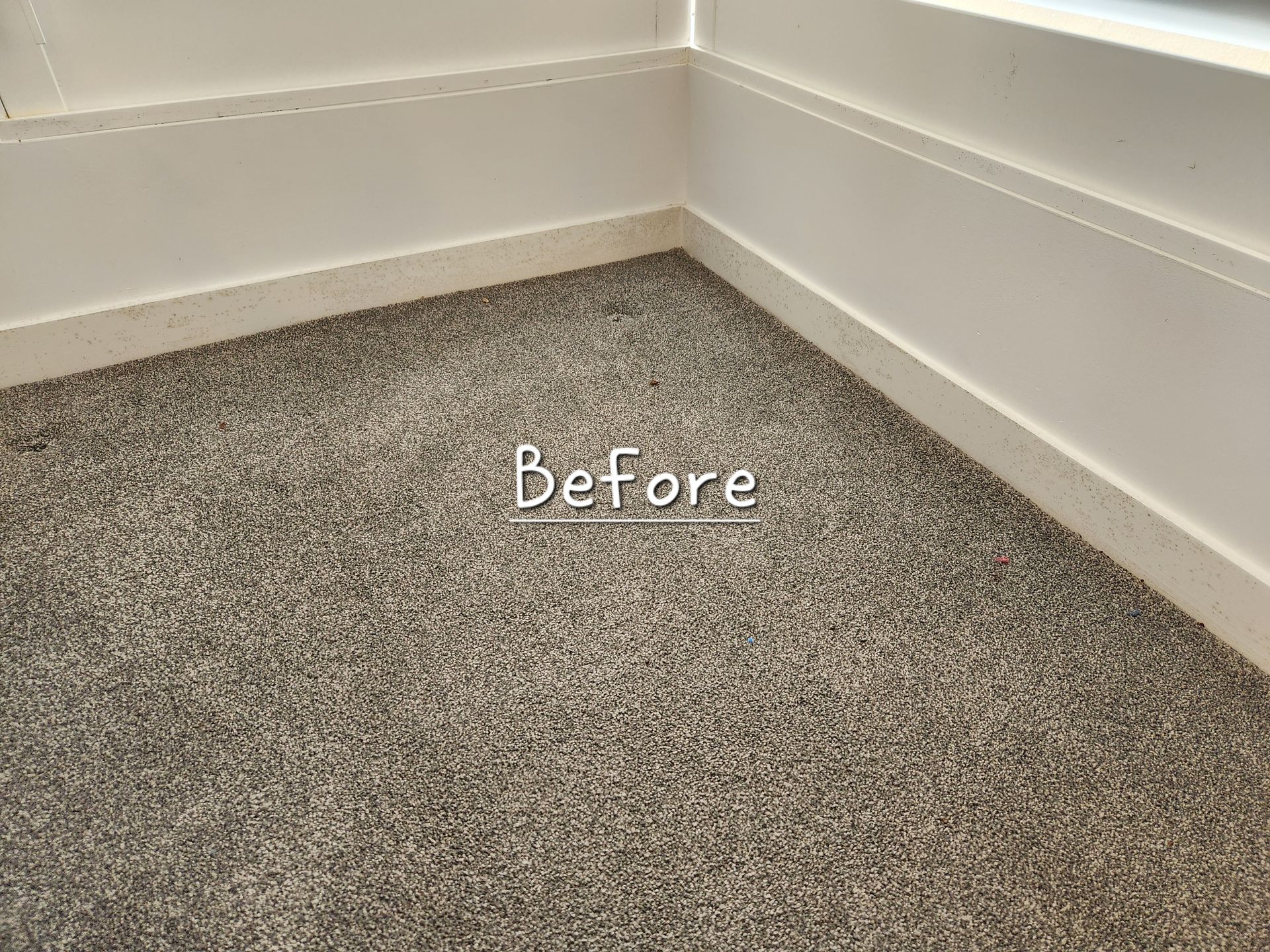 Before: Carpeted Floor Corner With White Molding — KirraLina Cleaning Services in Gold Coast, QLD