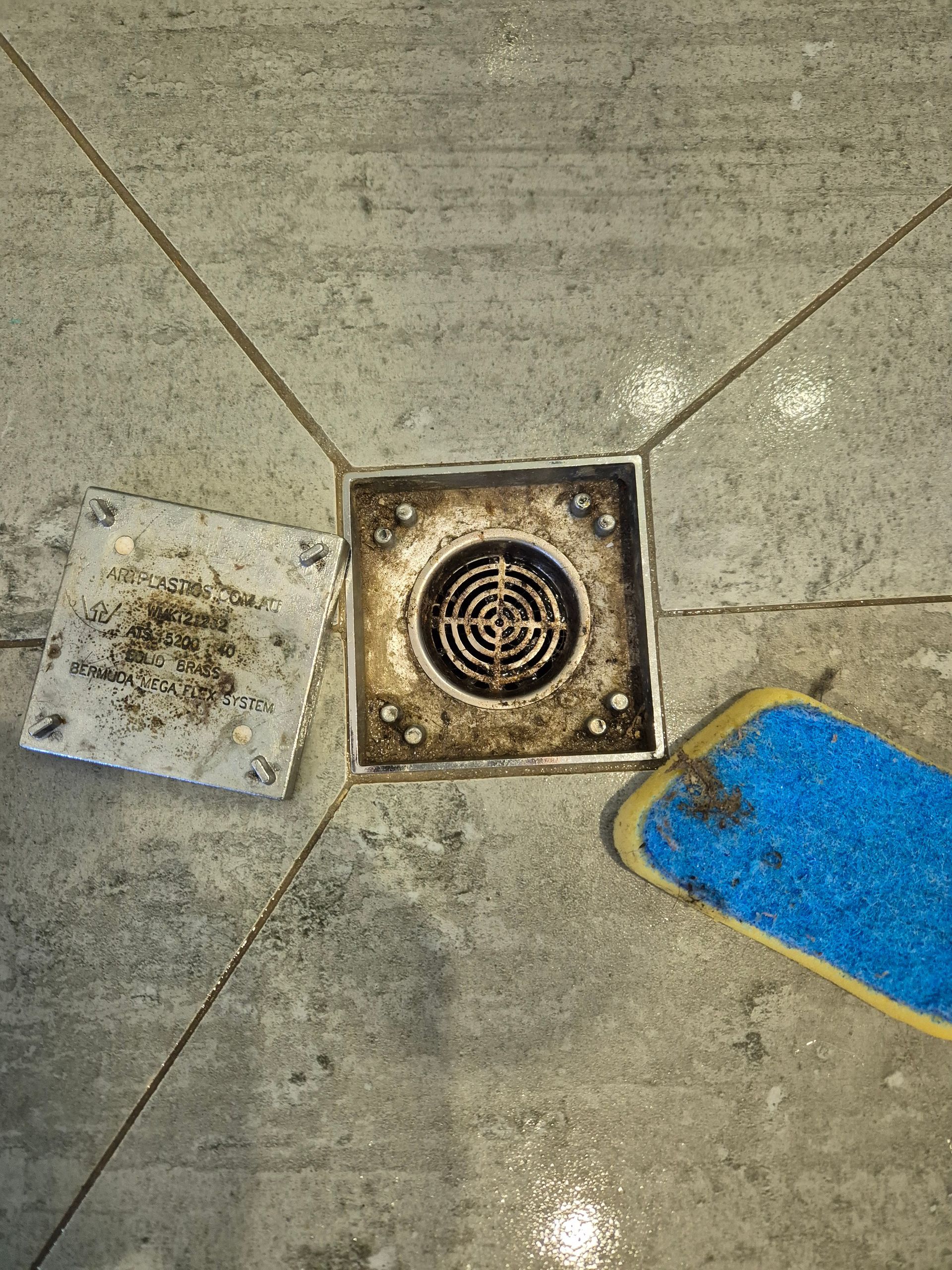 Before: Shower Drain With Cover and Sponge on Grey Tiled Floor — KirraLina Cleaning Services in Gold Coast, QLD