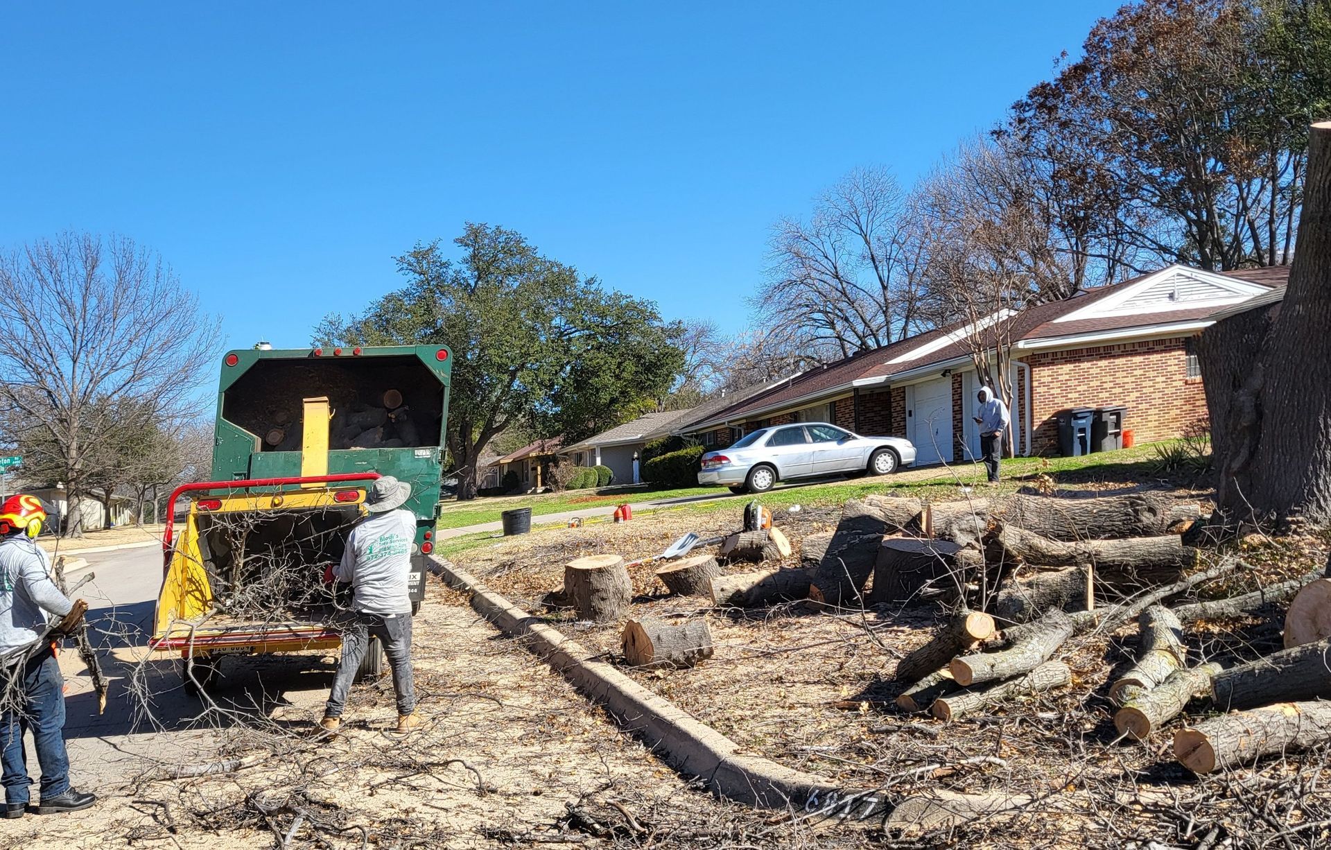 Bladi's Emergency  Tree Removal Dallas Fort Worth Texas