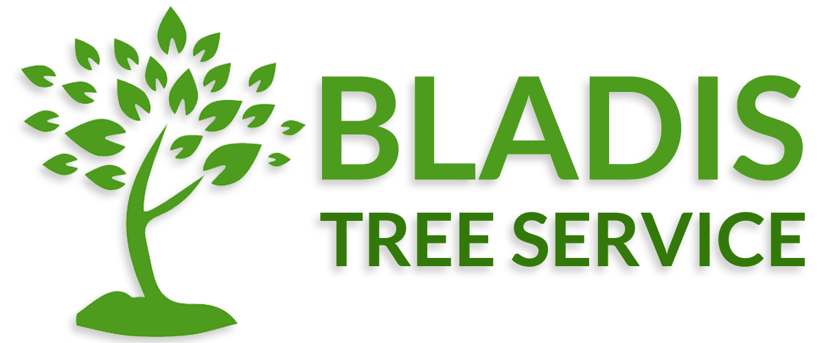 Green Leaf Tree Service Charlotte NC