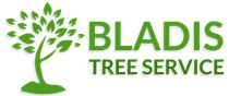 Bladi's Tree Service - Dallas Fort Worth's Trusted Tree Service