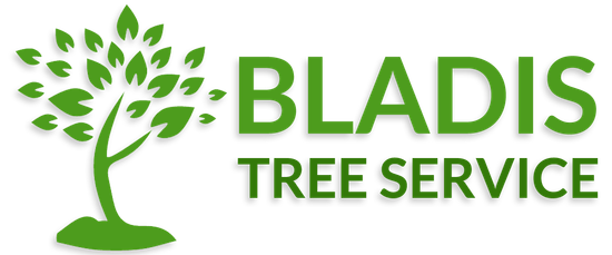 Bladi's Tree Service Dallas Fort Worth Grand Prairie