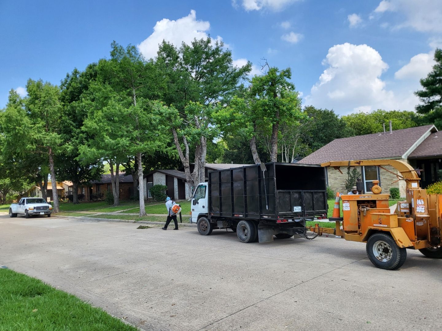 Bladi's Emergency  Tree Removal Dallas Fort Worth Texas