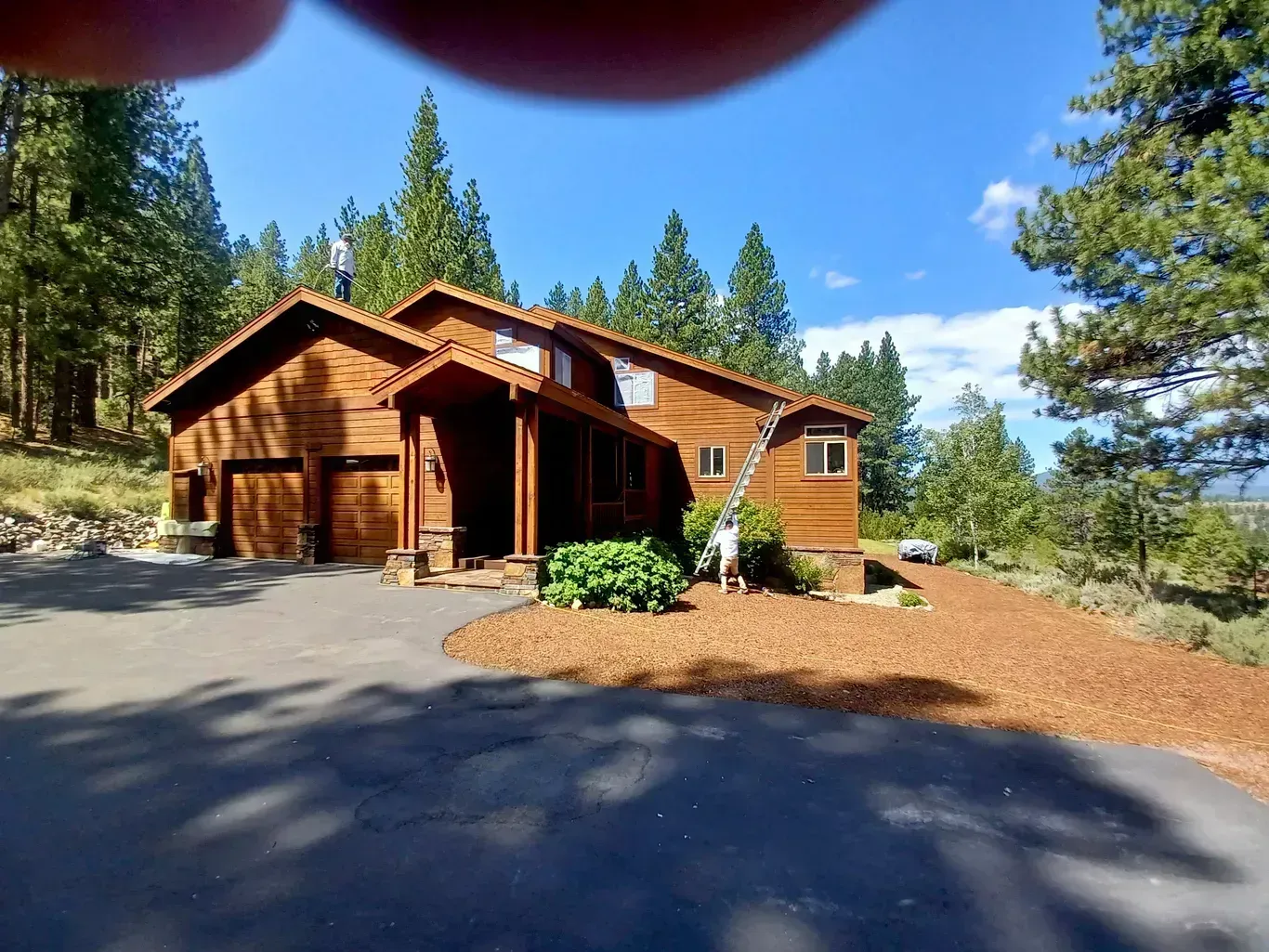 Wooden cabin with a covered porch beside a paved driveway in a sunny forested area