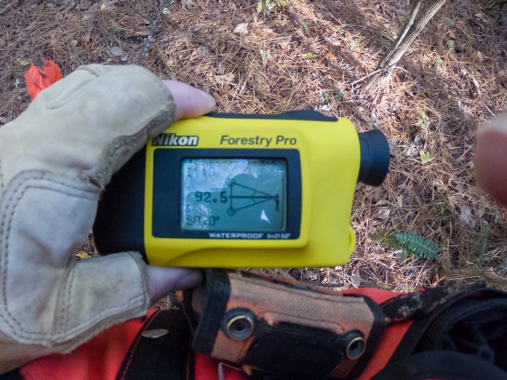 Forestry service 