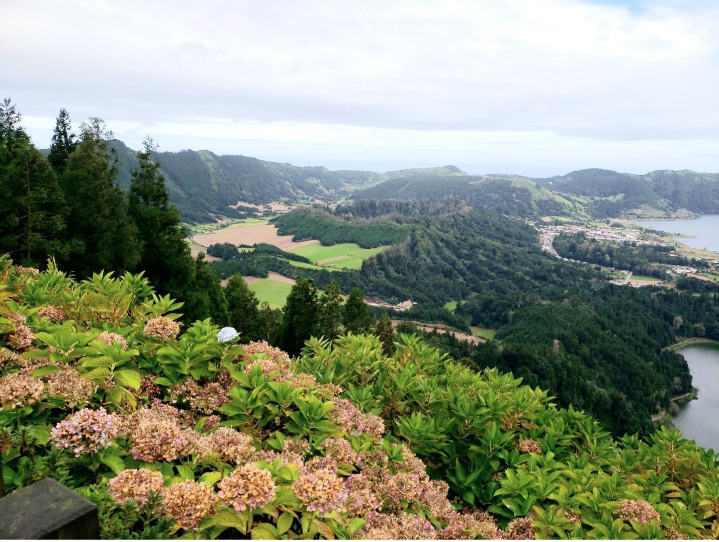 a view of a valley with flowers in the foreground