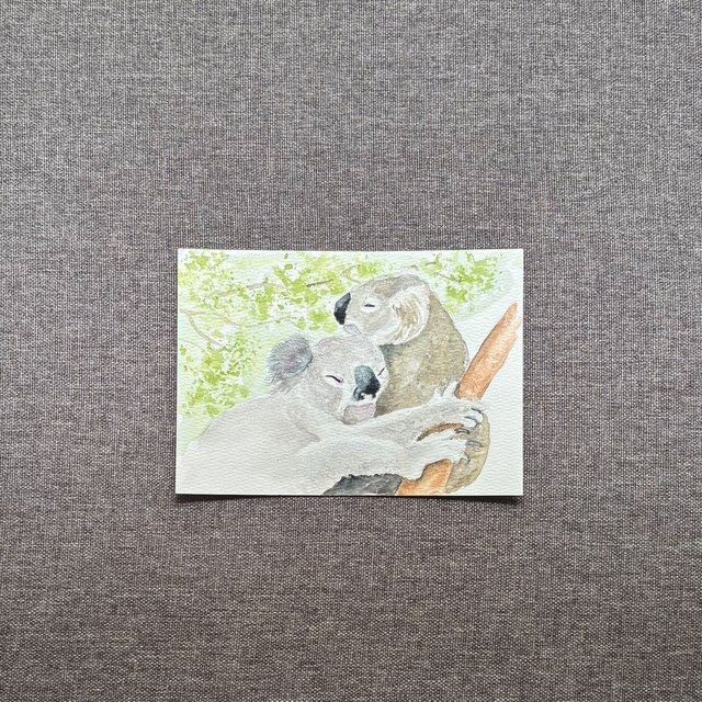 Gloria Lapin - 