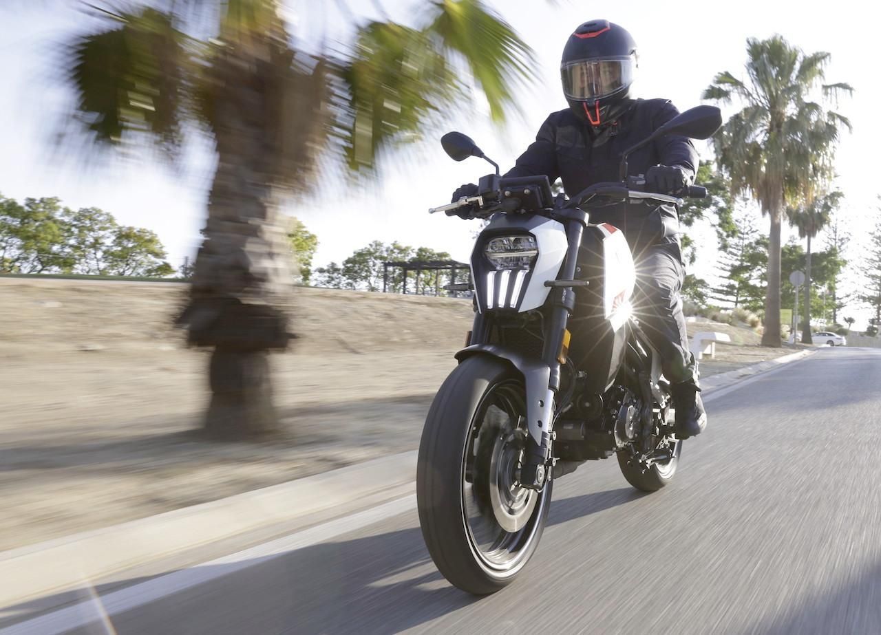 Motorcyclist in black riding on a road with palm trees in the background.