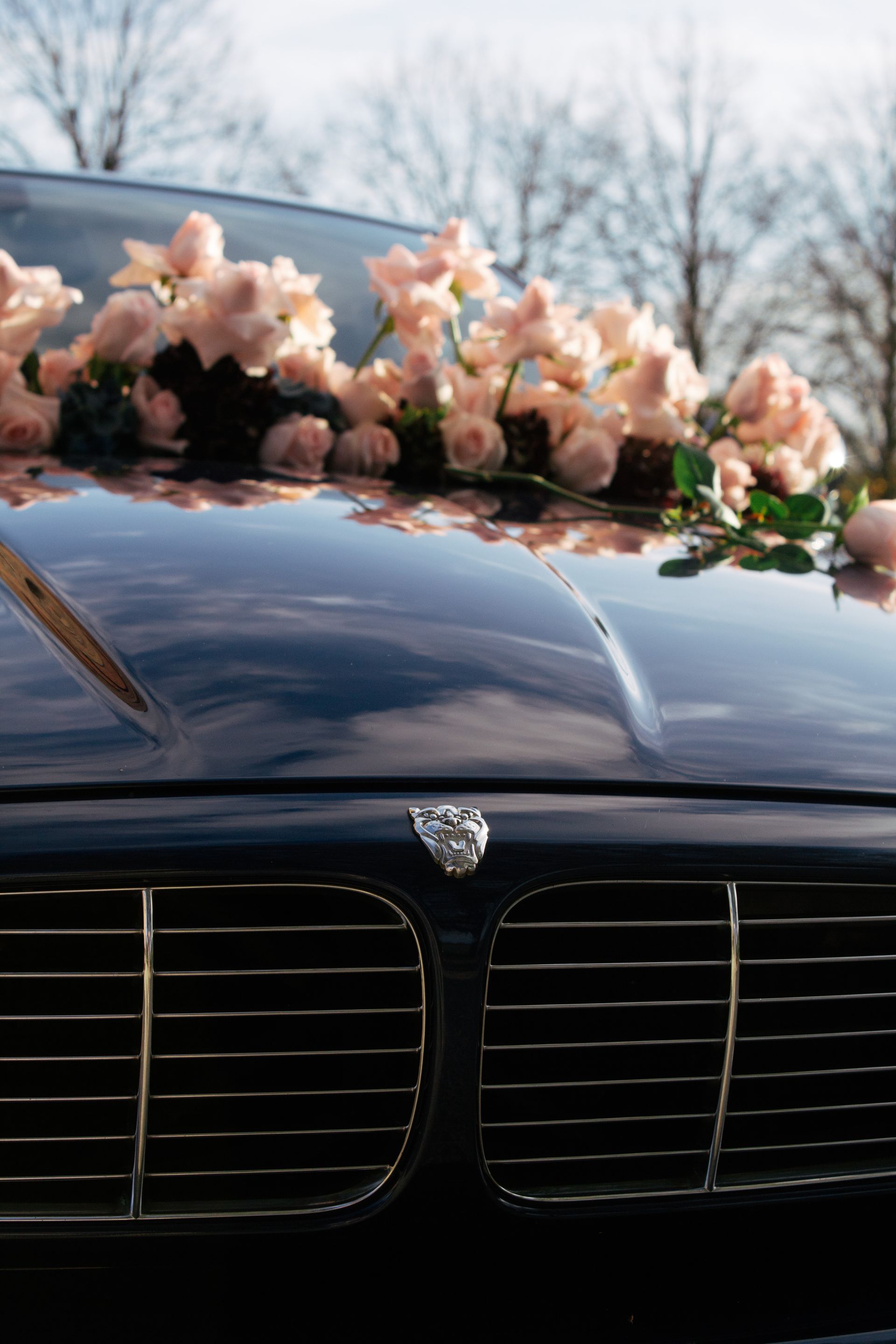 De motorkap van een zwarte Jaguar is versierd met roze bloemen.