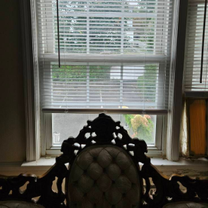 Front-facing window with white blinds and an ornate dark chair silhouette in the foreground