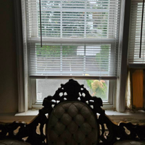 Front-facing window with white blinds and an ornate dark chair silhouette in the foreground