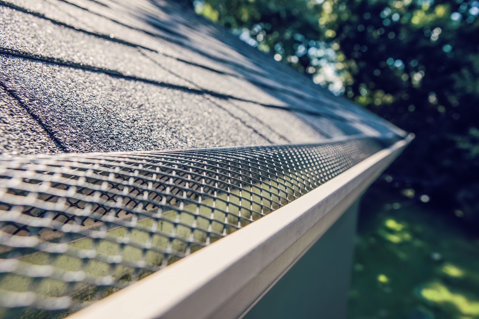 Gutter with mesh screen installed along a dark shingled roof, trees in background.