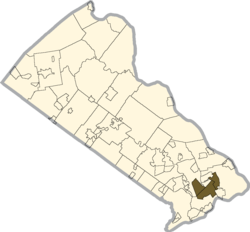 Tree Trimming and Removal in Levittown, PA - Professional Services