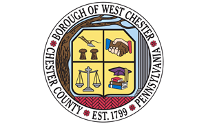West Chester Tree Services - Expert Trimming and Removal