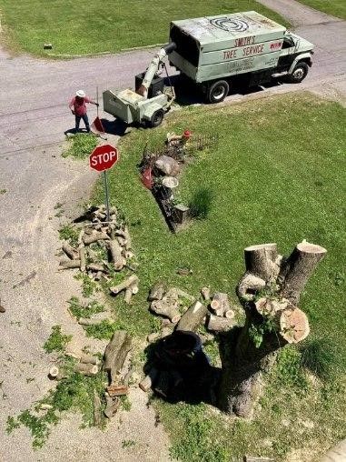 An aerial view of a tree being cut down by a truck.