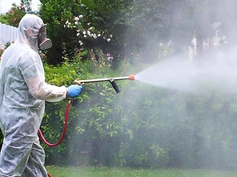 Fratinardo Ecologia Disinfezioni Derattizzazioni