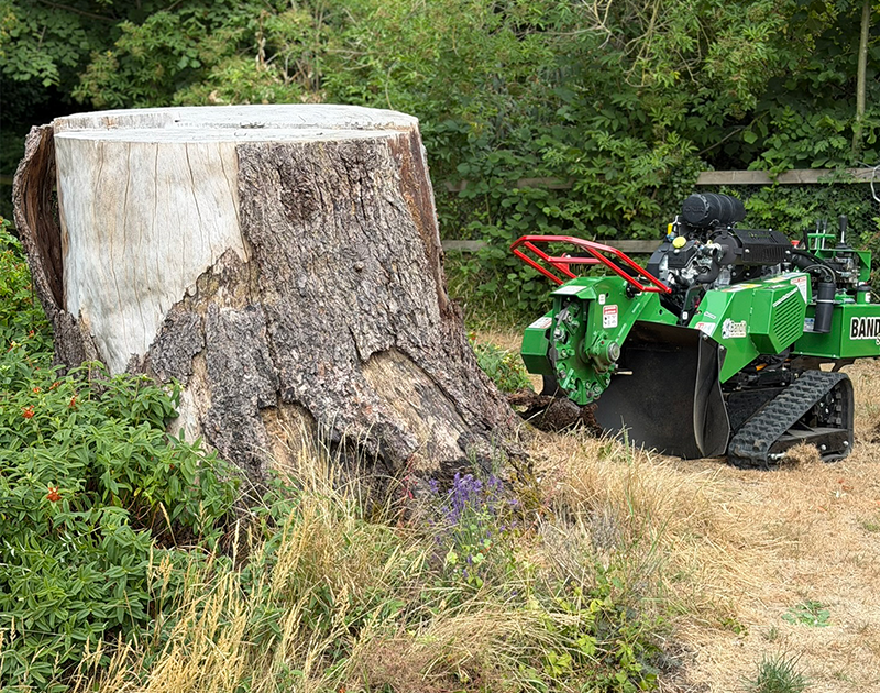 Tree Surgeon - Contact Us