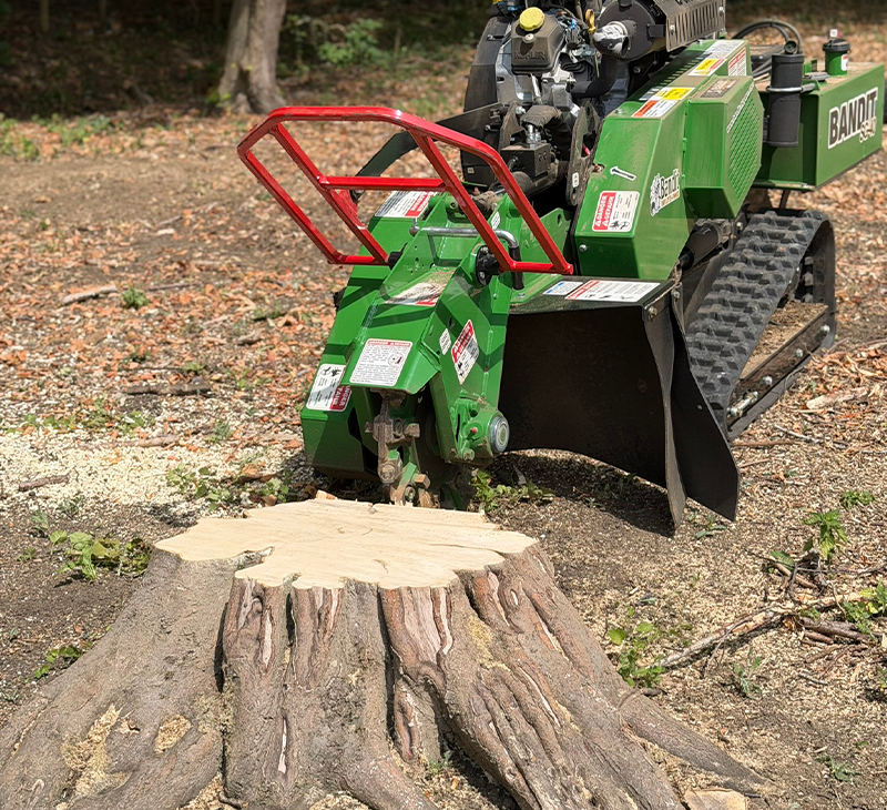 Tree Surgeon - Contact Us