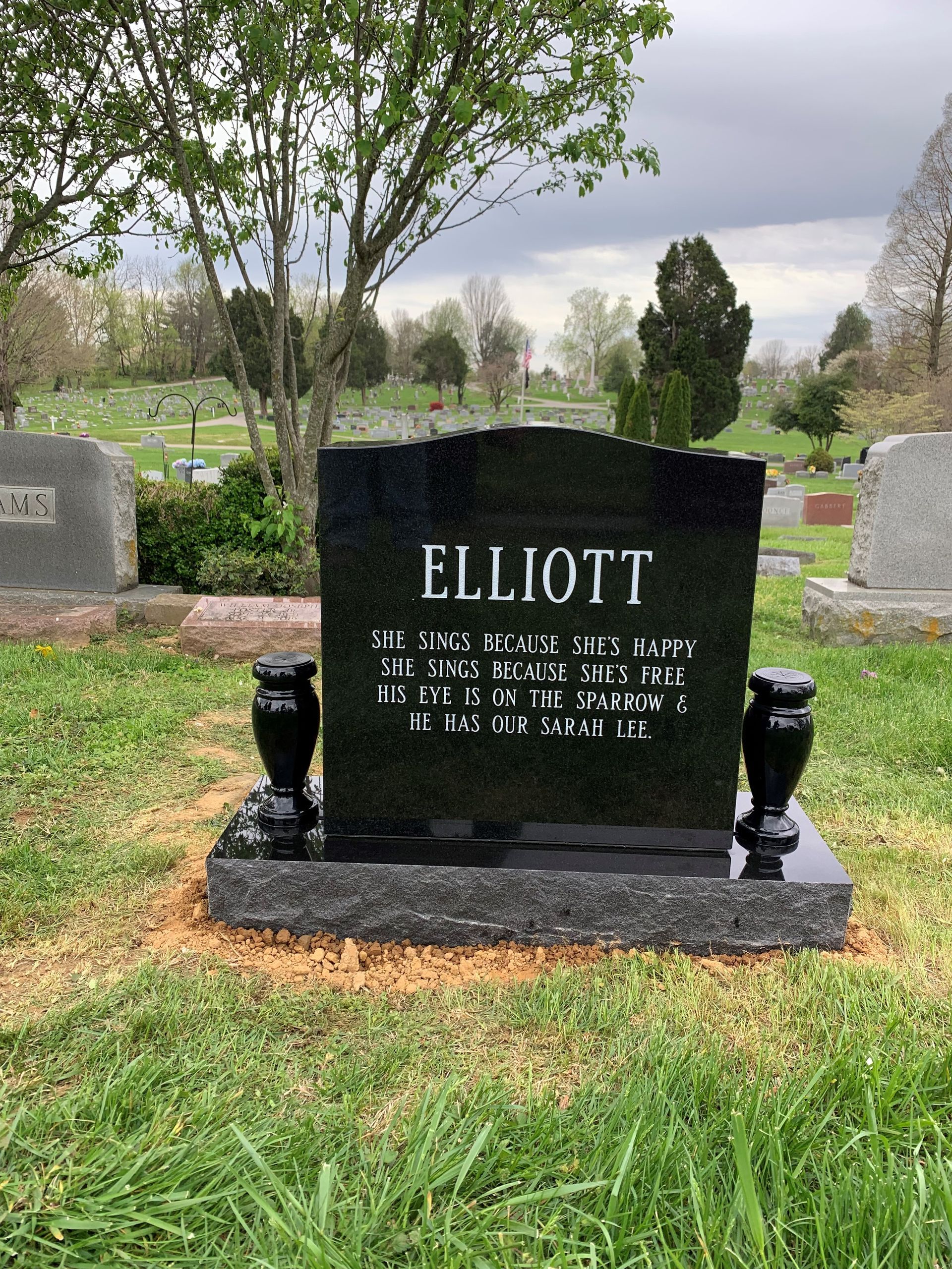 A black gravestone in a cemetery with the name elliott on it.