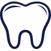 teeth