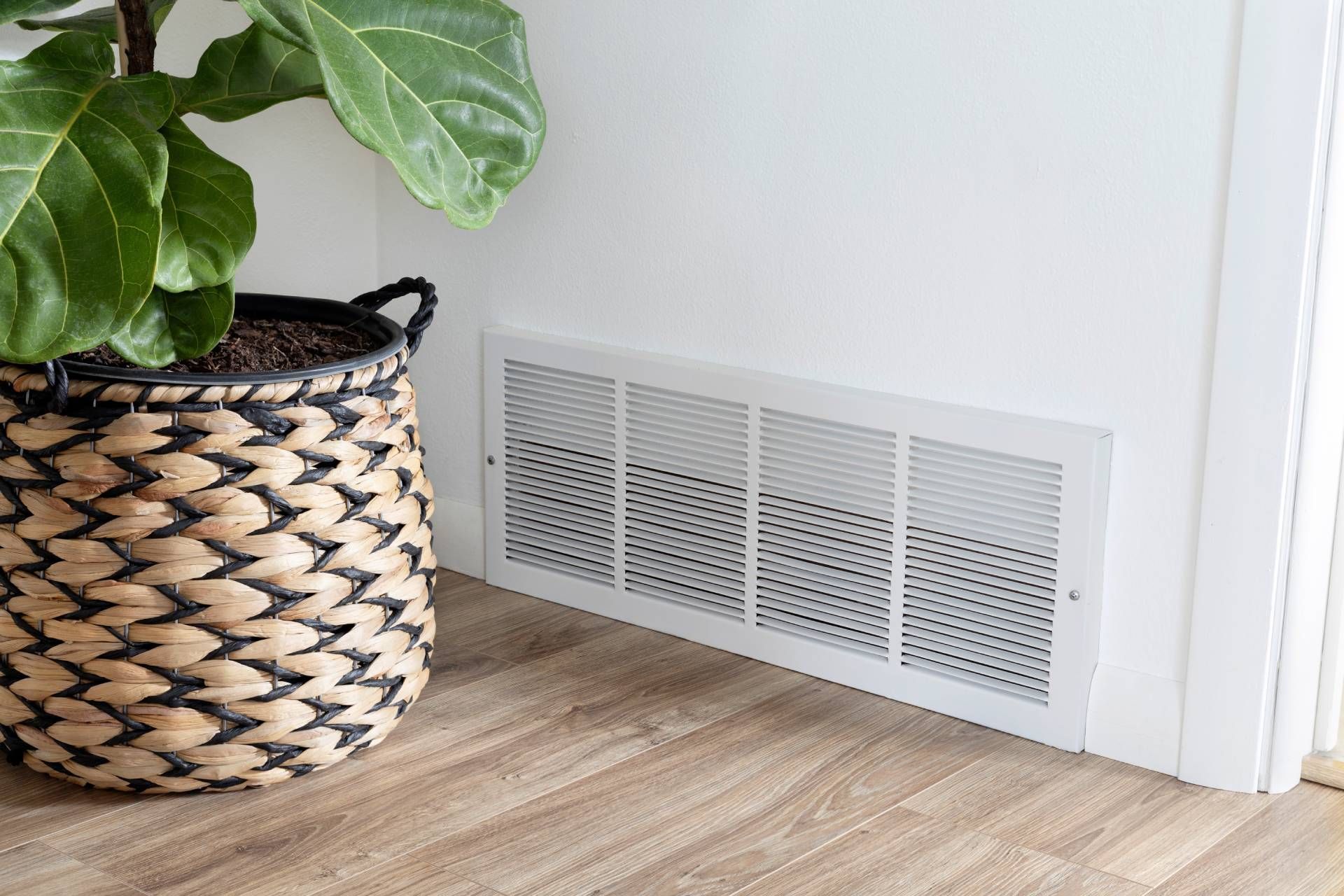 Potted plant beside a white floor vent on wood flooring near a wall corner