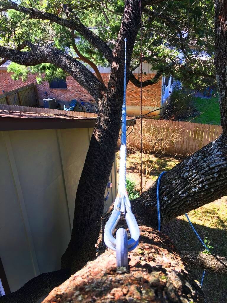 Tree Masters LLC. Top-Quality Tree Removal, Stump Grinding - Serving All Ocean County, Monmouth County
